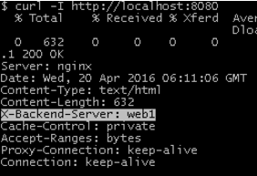 Curl -i X-Backend-Server